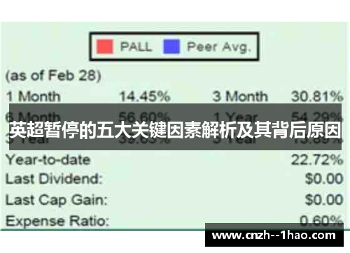 英超暂停的五大关键因素解析及其背后原因
