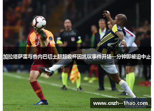 加拉塔萨雷与费内巴切土超超级杯因抗议事件开场一分钟即被迫中止