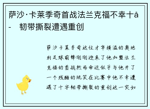 萨沙·卡莱季奇首战法兰克福不幸十字韧带撕裂遭遇重创